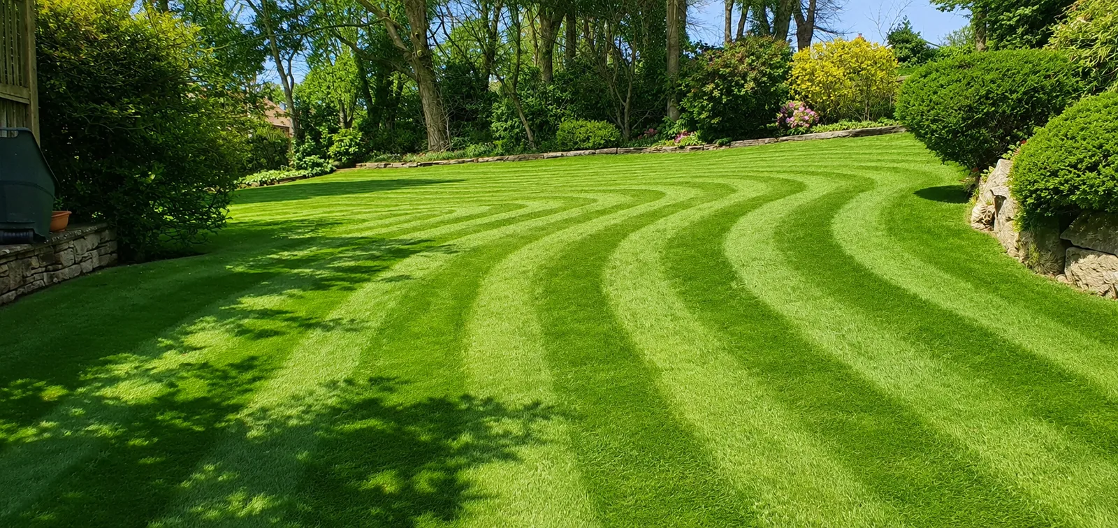 Summer garden lawn with curved mowing stripes.